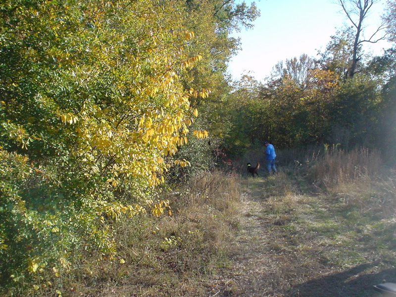 DSC03253.JPG