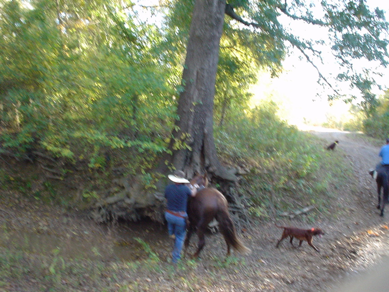 DSC03255.JPG