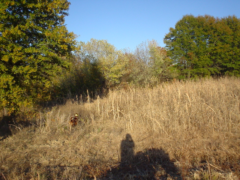 DSC03259.JPG