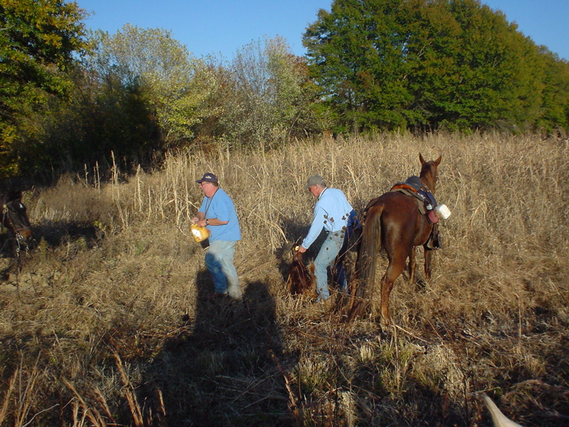 DSC03263.JPG