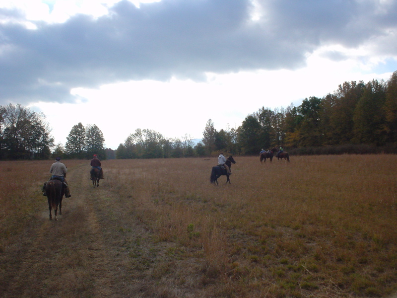 DSC03264.JPG