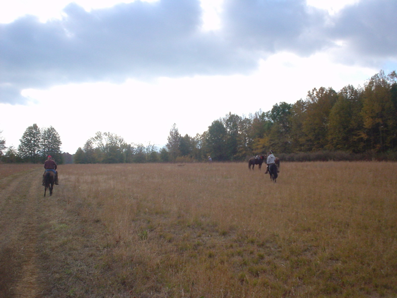DSC03265.JPG