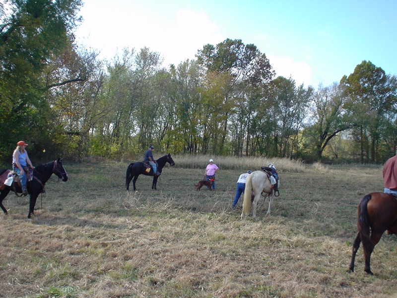 DSC03274.JPG