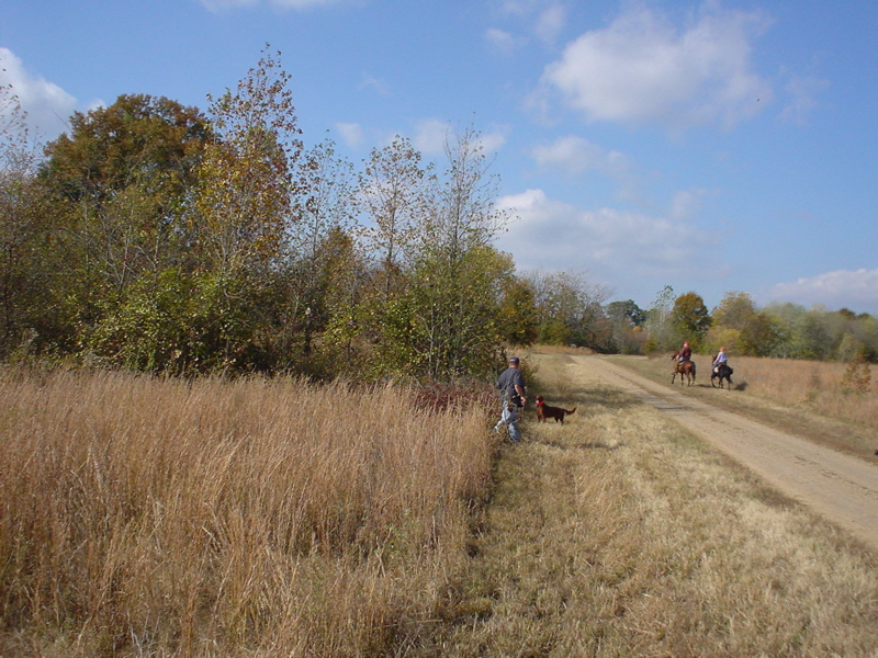 DSC03284.JPG