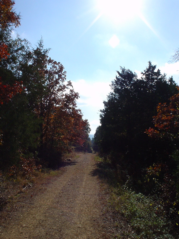 DSC03287.JPG