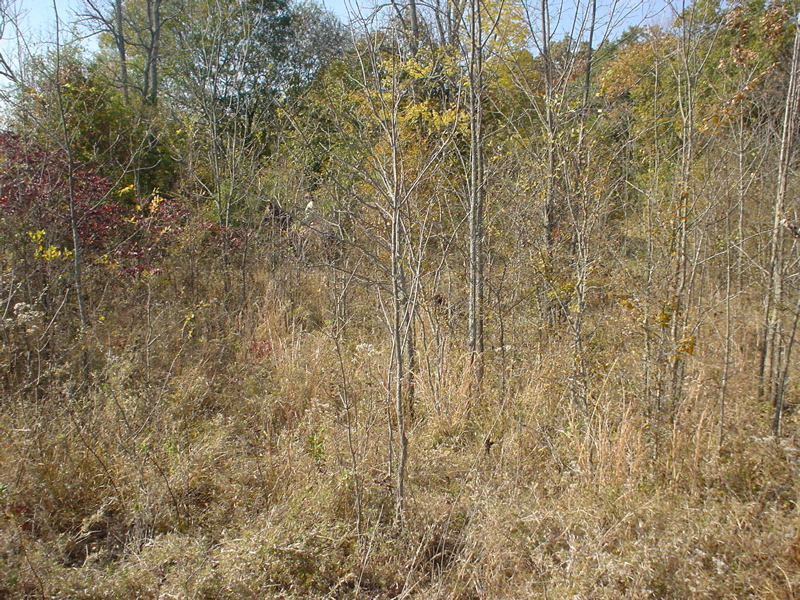DSC03289.JPG