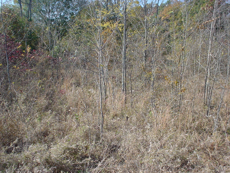 DSC03291.JPG