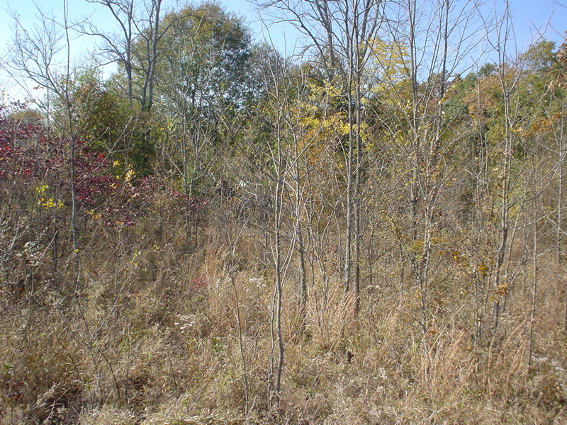 DSC03292.JPG