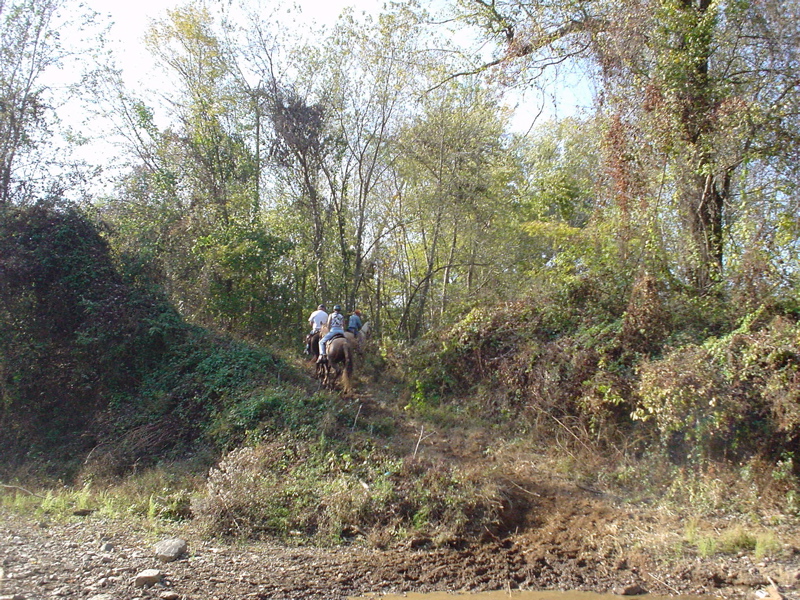 DSC03298.JPG