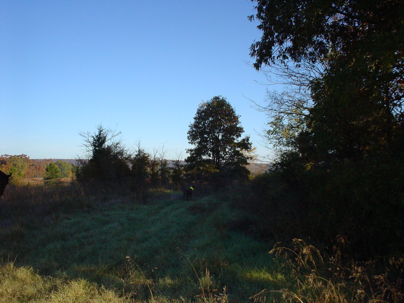 DSC03308.JPG