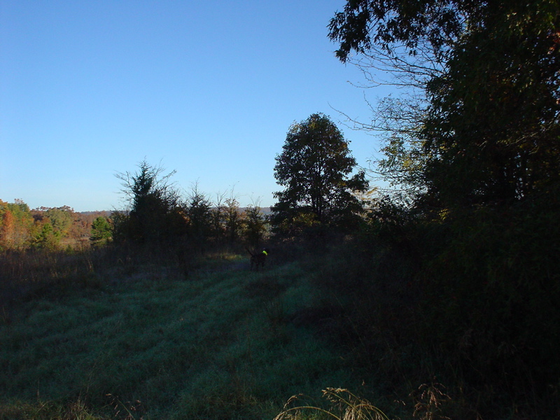 DSC03310.JPG