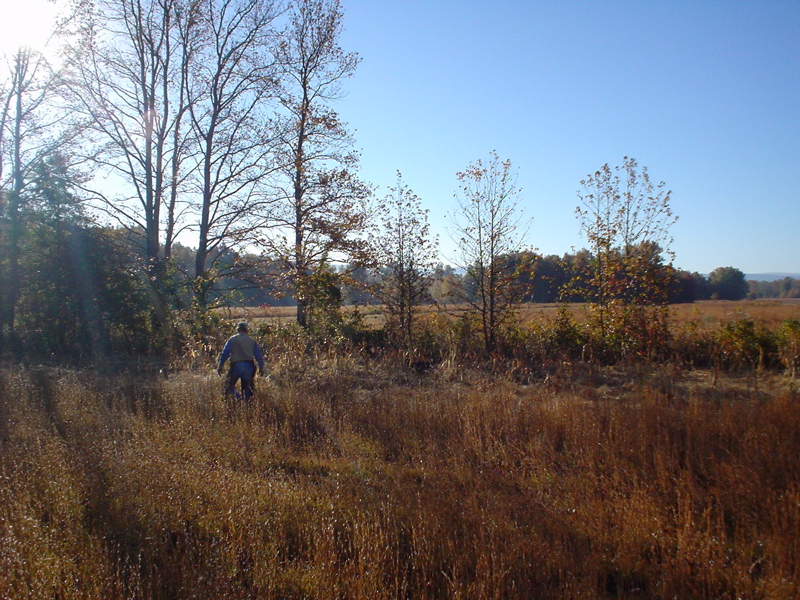 DSC03315.JPG