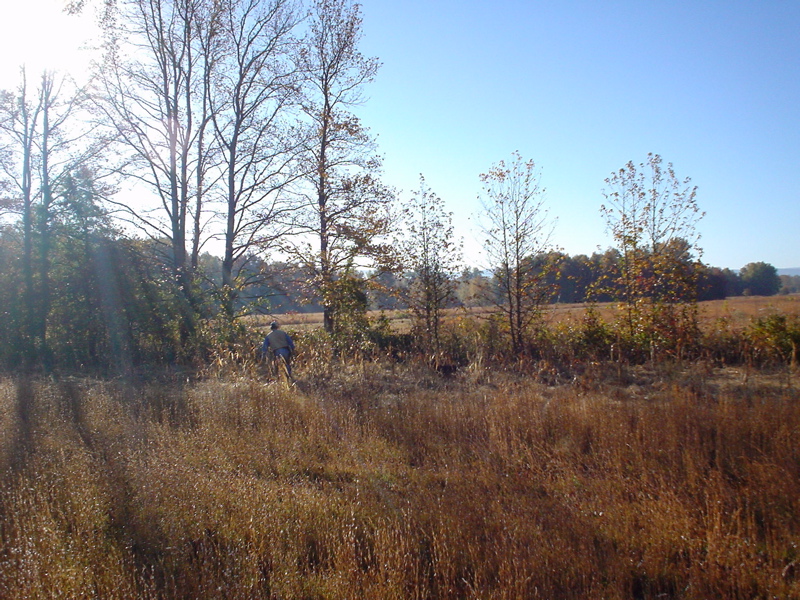 DSC03316.JPG