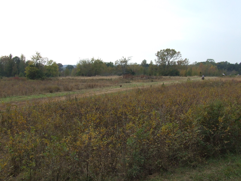 DSCF0005.JPG