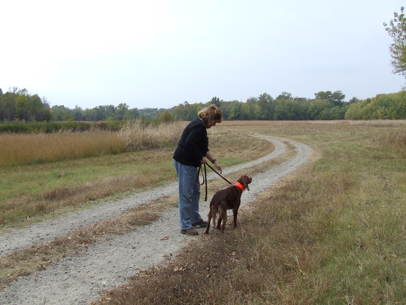 DSCF0008.JPG