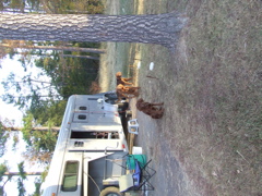DSCF0047.JPG