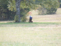 DSCF0050.JPG