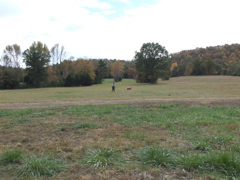 DSCF0051.JPG
