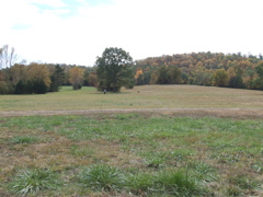 DSCF0052.JPG