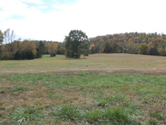 DSCF0053.JPG