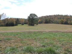 DSCF0054.JPG