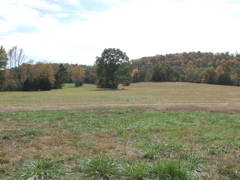 DSCF0055.JPG