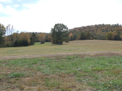 DSCF0058.JPG