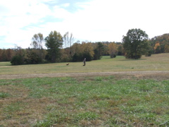 DSCF0059.JPG