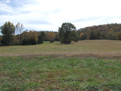 DSCF0062.JPG