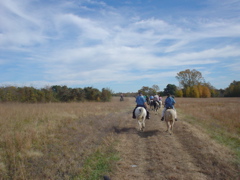 DSC03235.JPG