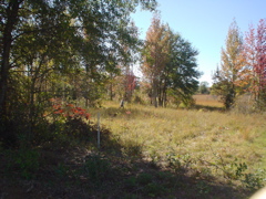 DSC03193.JPG