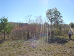 DSC03199.JPG