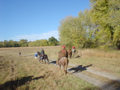 DSC03229.JPG