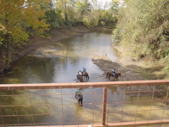 DSC03233.JPG