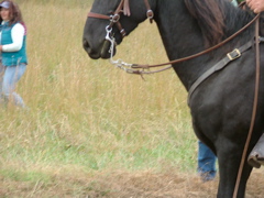 DSCF4839.JPG