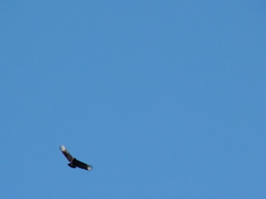 DSCF4900.JPG