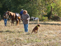 DSCF4901.JPG