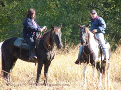 DSCF4905.JPG