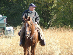 DSCF4907.JPG
