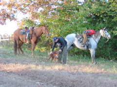 DSCF4937.JPG