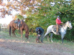 DSCF4938.JPG