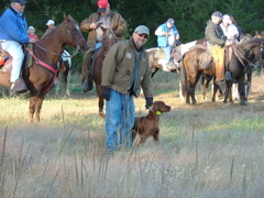 DSCF4950.JPG