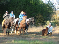 DSCF4953.JPG