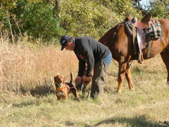 DSCF4962.JPG