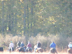 DSCF4967.JPG