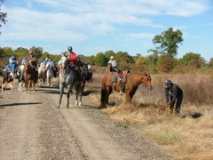DSCF4973.JPG