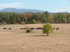 DSCF4985.JPG