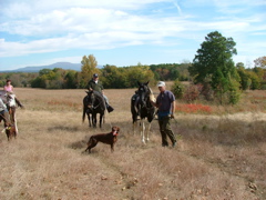 DSCF4987.JPG