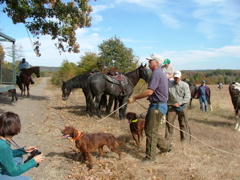 DSCF4988.JPG