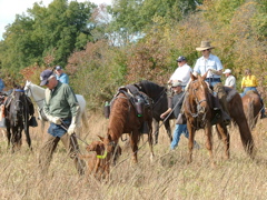 DSCF4991.JPG